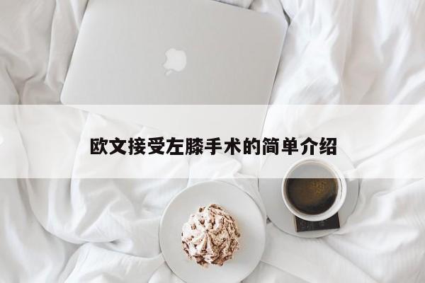 欧文接受左膝手术的简单介绍