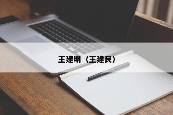 王建明（王建民）