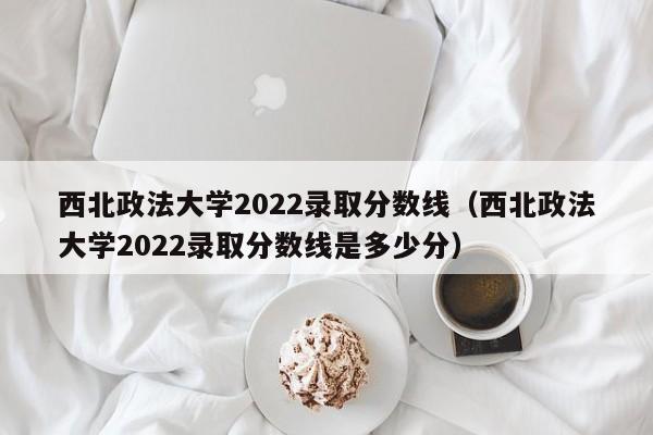 西北政法大学2022录取分数线（西北政法大学2022录取分数线是多少分）