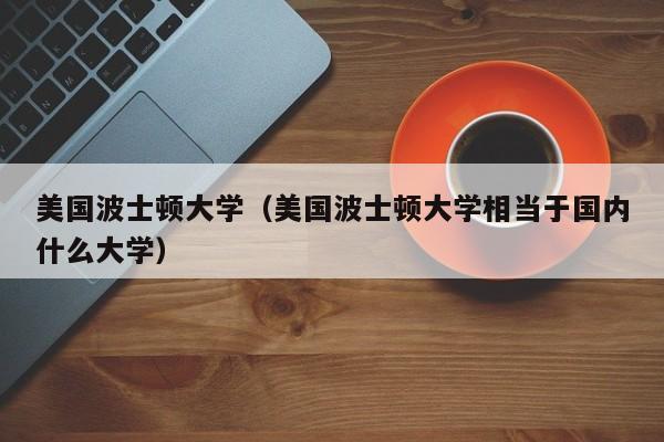 美国波士顿大学（美国波士顿大学相当于国内什么大学）