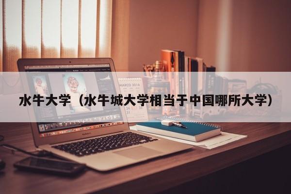 水牛大学（水牛城大学相当于中国哪所大学）