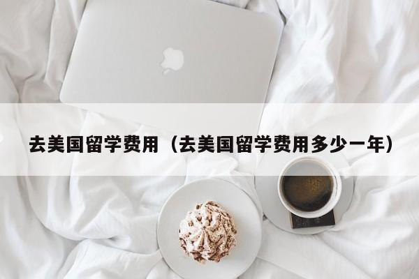去美国留学费用（去美国留学费用多少一年）