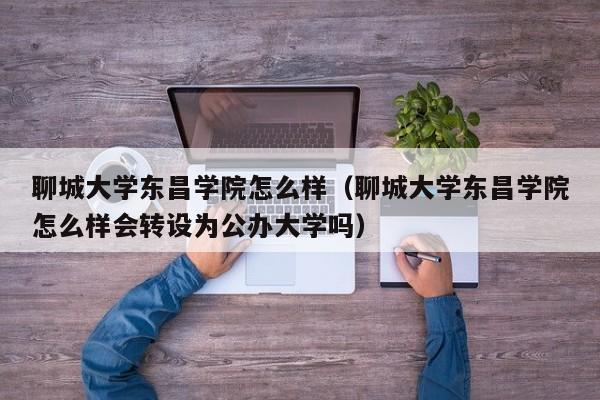 聊城大学东昌学院怎么样（聊城大学东昌学院怎么样会转设为公办大学吗）